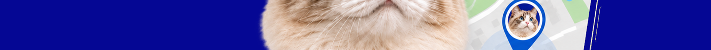Kattenhalsbandje inclusief Tag