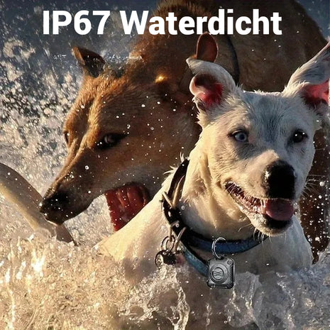 Sleutelhanger Inclusief Tag Geschikt voor Apple Find My