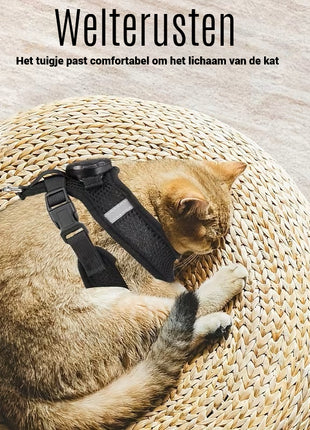 Kattenharnas inclusief Tag Geschikt voor Android Find My Device