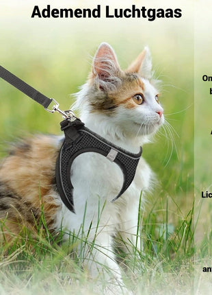 Kattenharnas met Riem Inclusief Tag + Tagcase Geschikt voor Apple Find My