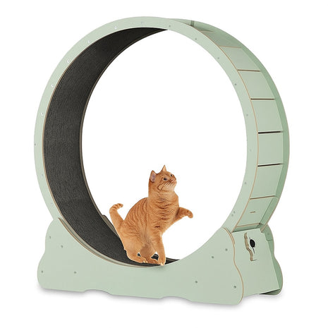 Loopwiel Mint Groen XL