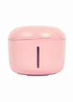 Roze