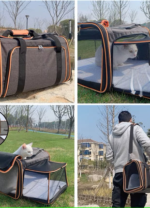 Draagtas Hond/Kat Uitklapbaar