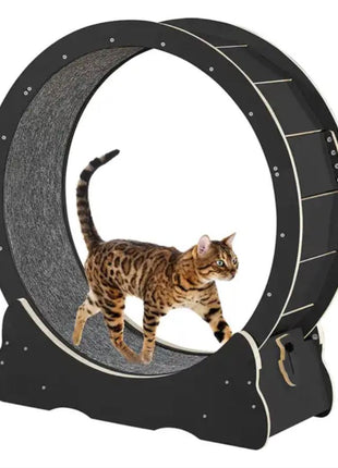 Loopwiel